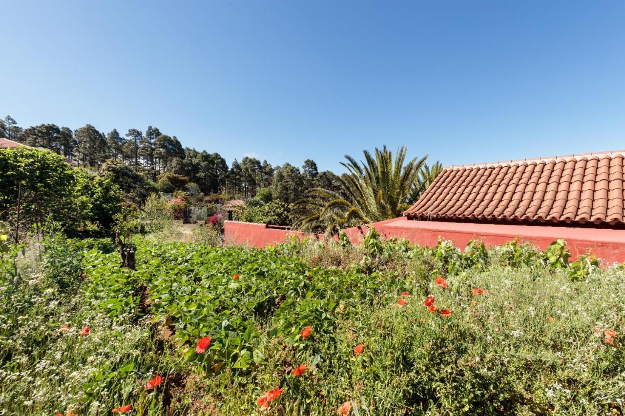 Casa Buganvillas, Reformado Пунтагорда Экстерьер фото